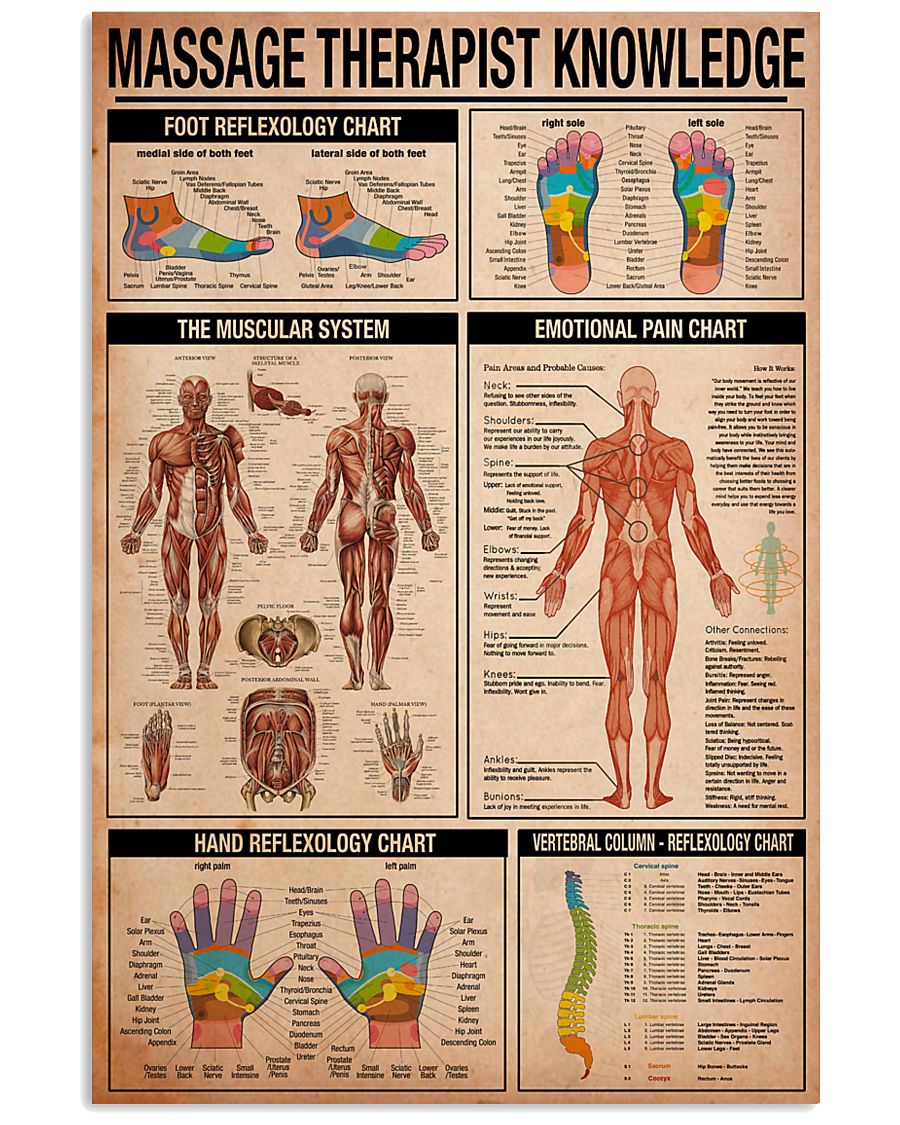 Massage Therapist Knowledge 11x17 Poster