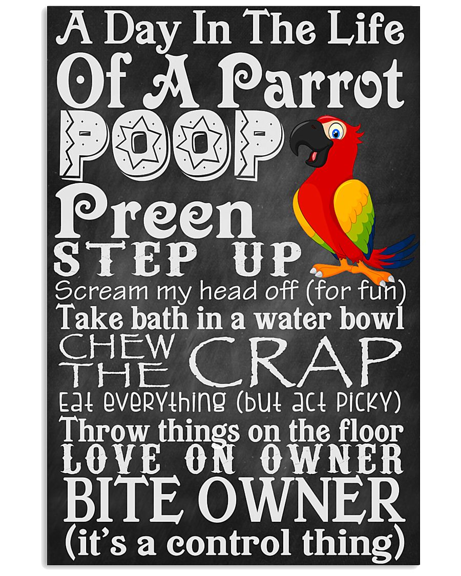 A day in the life of a Parrot Poster 11x17 Poster