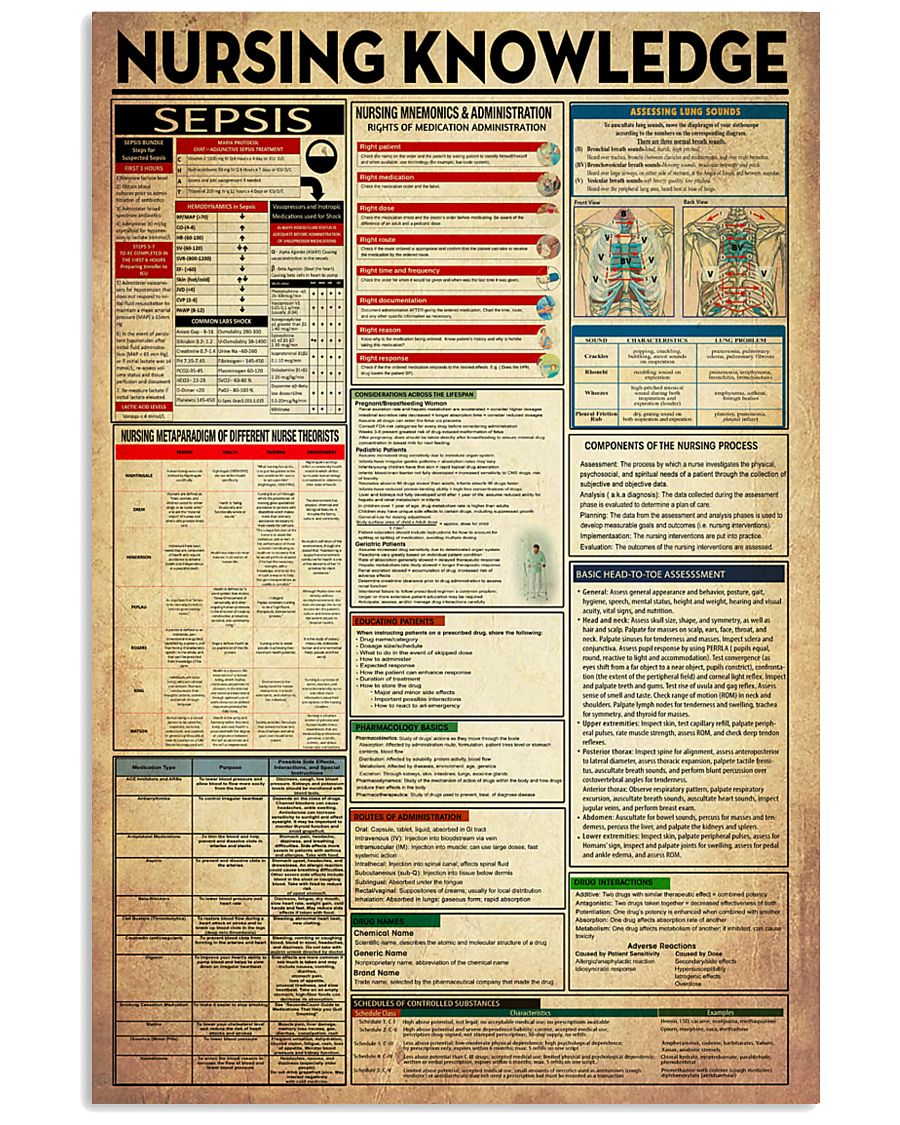 Nurse Nursing Knowledge 11x17 Poster