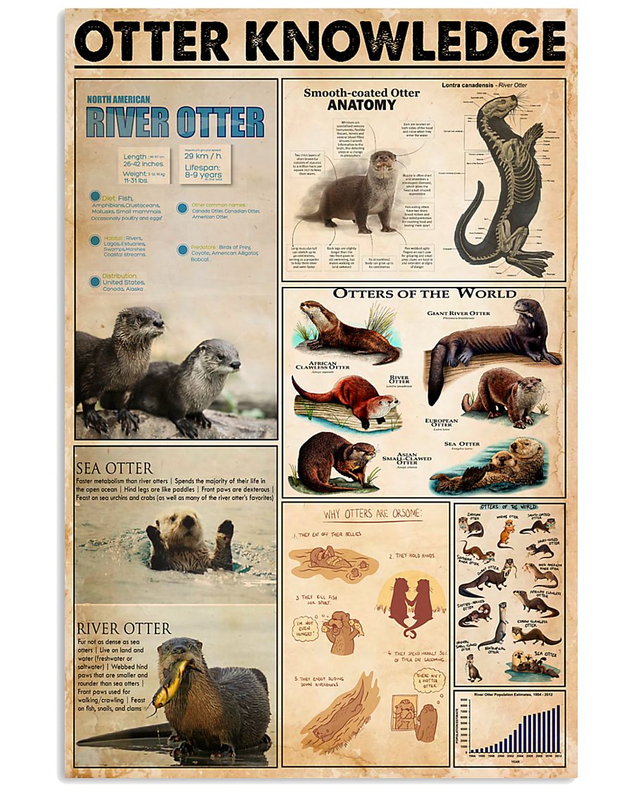 Otter Knowledge 11x17 Poster
