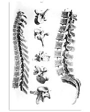 Chiropractor anatomy 11x17 Poster front