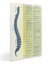 Chiropractor Spine Role 20x30 Gallery Wrapped Canvas Prints thumbnail