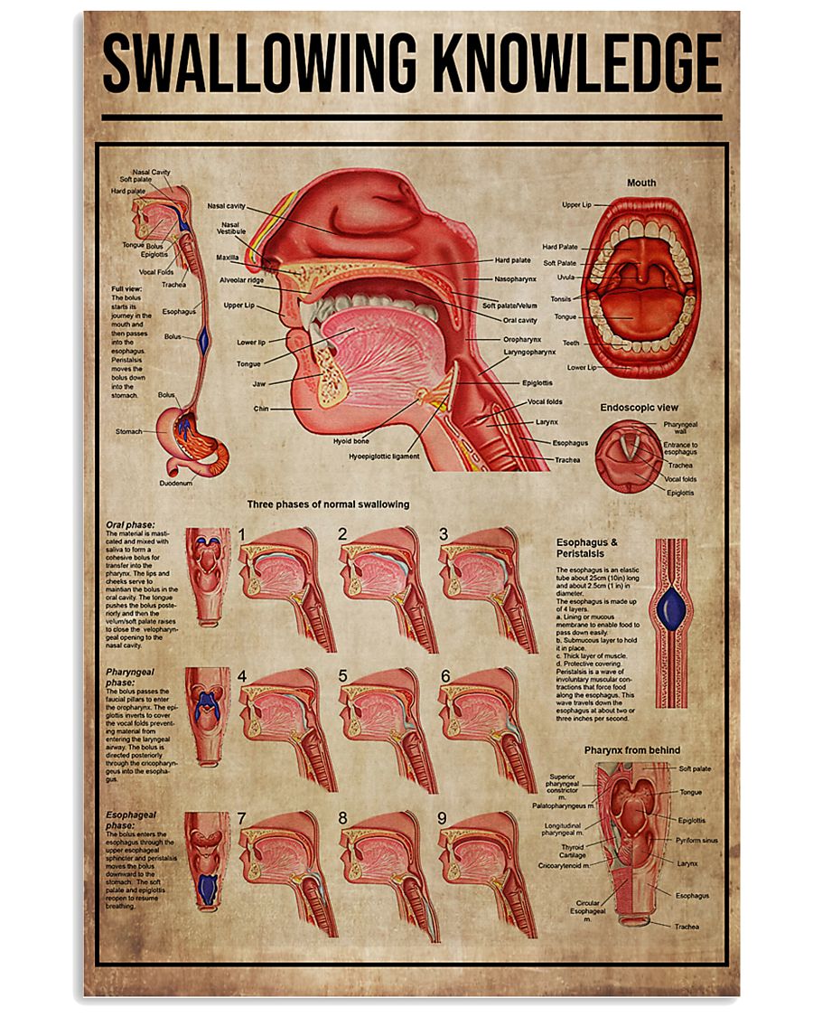 Speech Language Pathologist Swallowing Knowledge 11x17 Poster