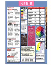 Hair Color Hairdresser 11x17 Poster front