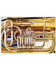 Tubist Big Tuba 17x11 Poster front