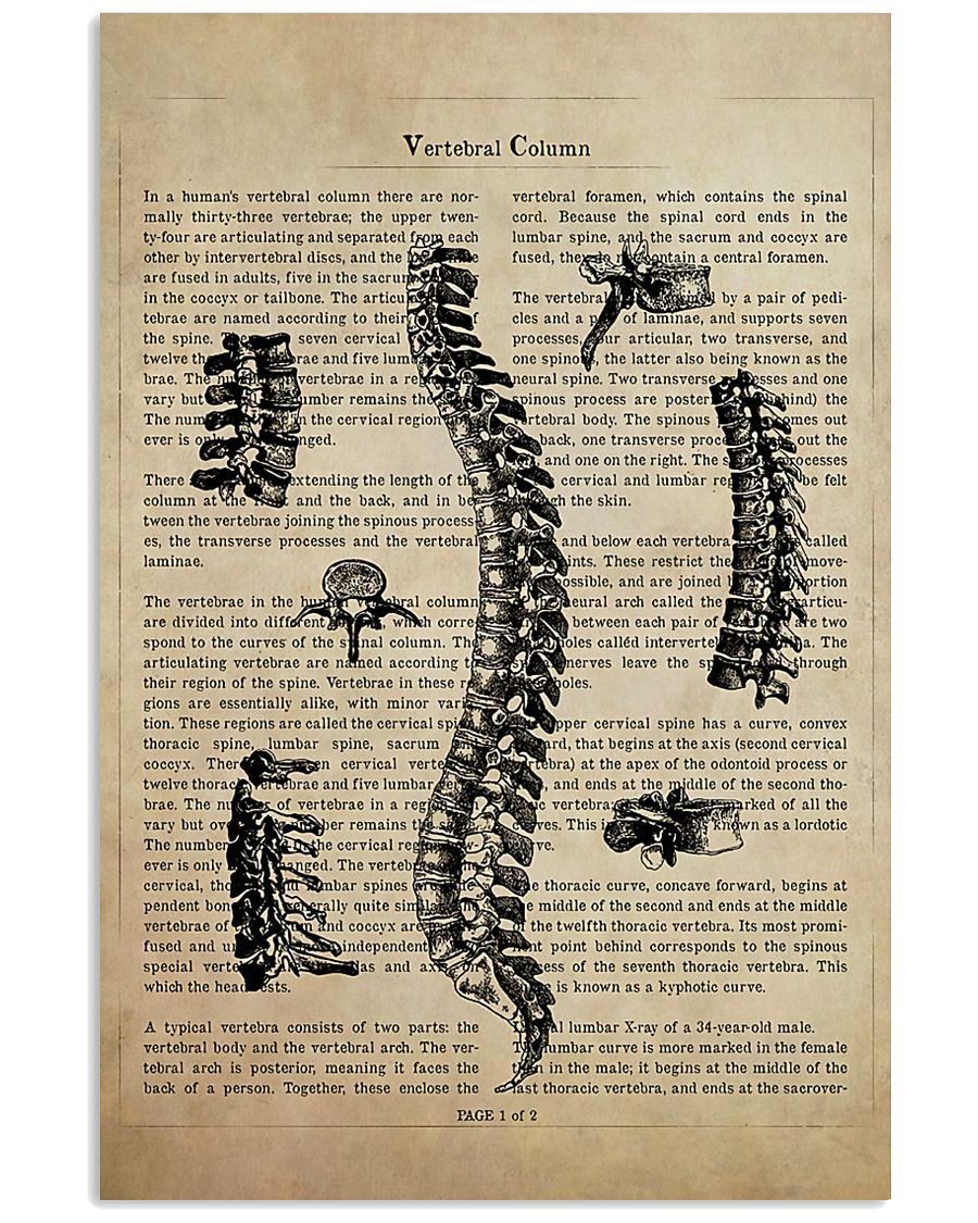 Chiropractor Vertebral Column 11x17 Poster