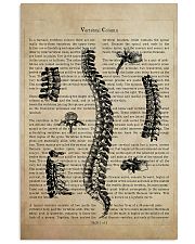 Chiropractor Vertebral Column 11x17 Poster front