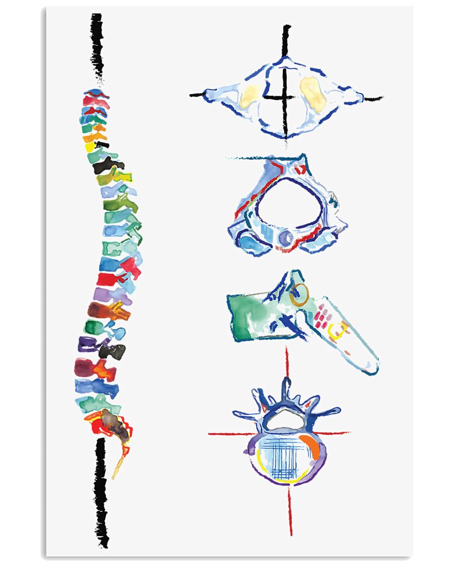 Chiropractor Spine Art 16x24 Poster