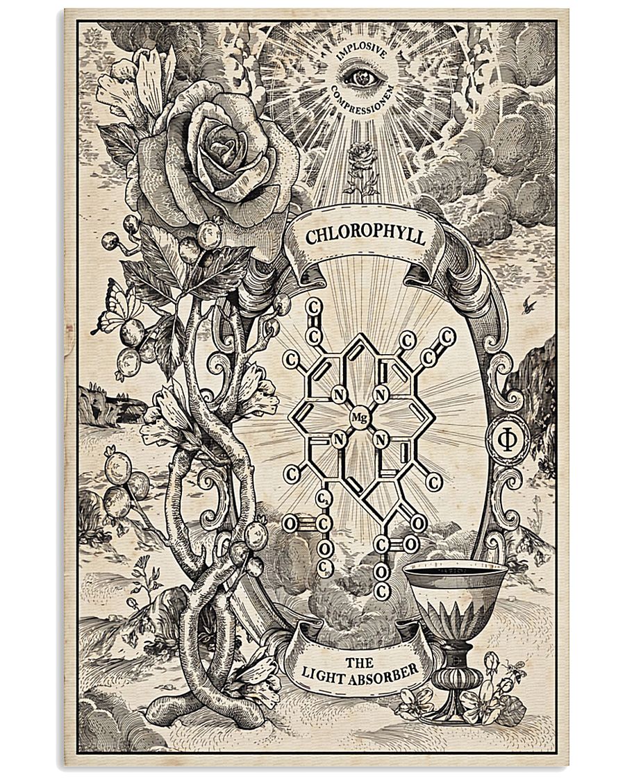 Chemist Medieval Poster 11x17 Poster