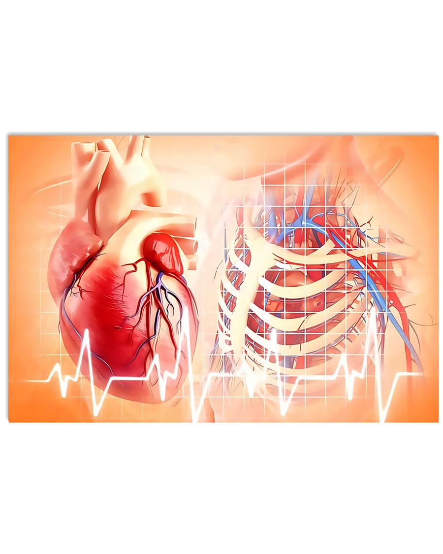 Anatomy Human Heart Cardiologist 17x11 Poster