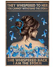 Diabetes I Am The Storm 11x17 Poster front