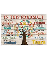 Pharmacist in this pharmacy 24x16 Poster front