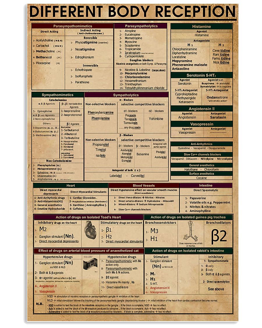 Pharmacist Different body reception 11x17 Poster