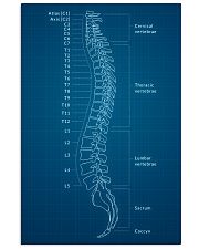 Chiropractor Human Spine 11x17 Poster front