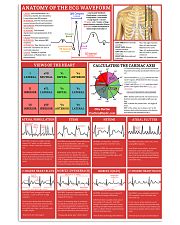 ECG Waveform Cardiologist 11x17 Poster front