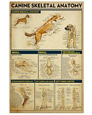 Veterinarian Canine Skeletal Anatomy Poster 11x17 Poster front