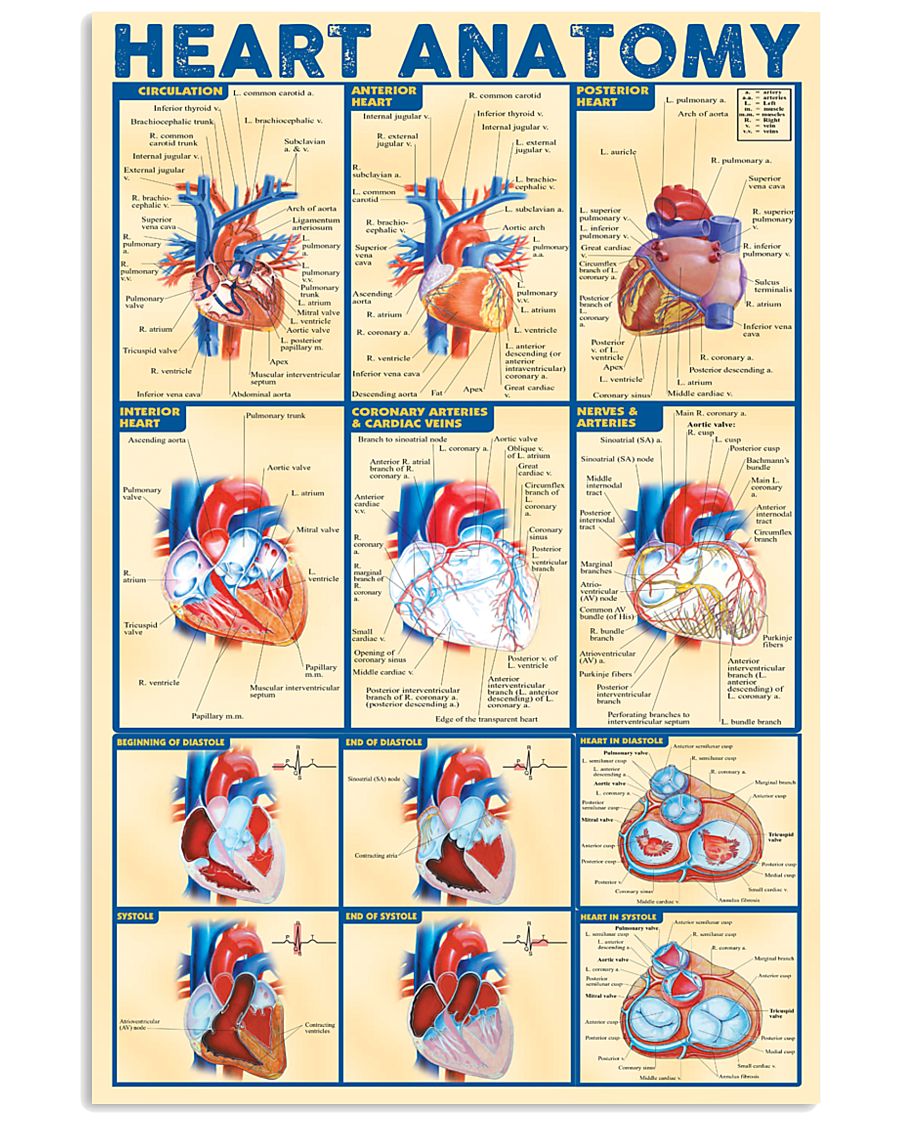 Limited Edition - Selling Out Fast 11x17 Poster