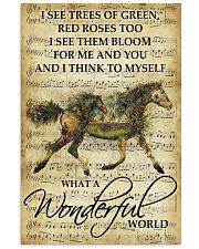 Horse Girl - What a wonderful world 11x17 Poster front