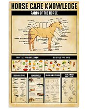 Horse Girl Horse Care Knowledge 11x17 Poster front