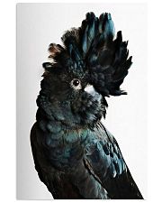 Parrot Beautiful 11x17 Poster front