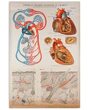 Human Heart Anatomical Cardiologist 11x17 Poster front