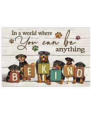Veterinarian You Can Be Anything Be Kind 17x11 Poster front