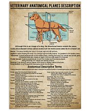 Veterinary Anatomical Planes Description 11x17 Poster front