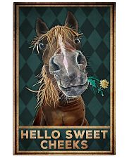Horse Girl - Hello Sweet Cheeks 11x17 Poster front