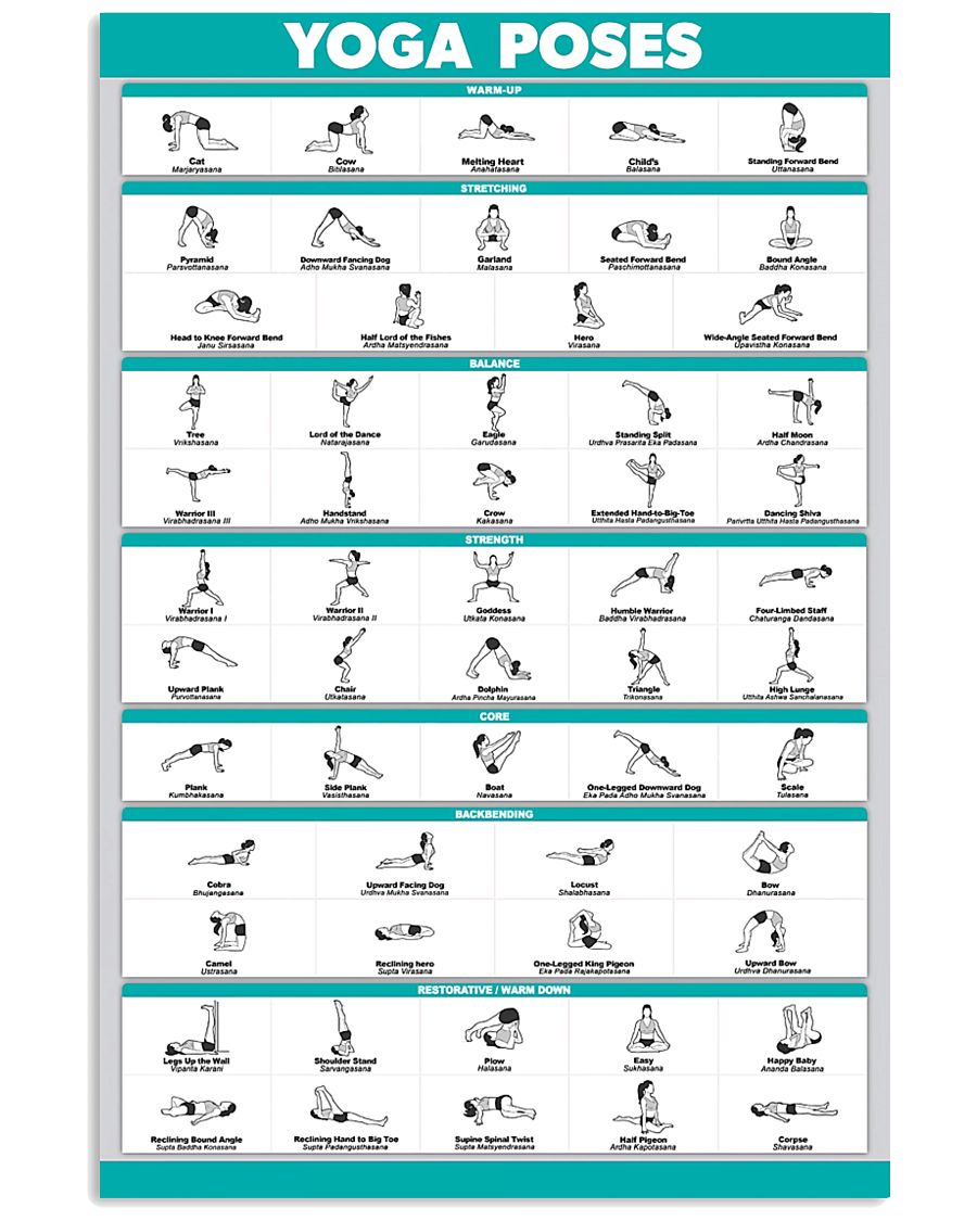 Yoga Poses 11x17 Poster