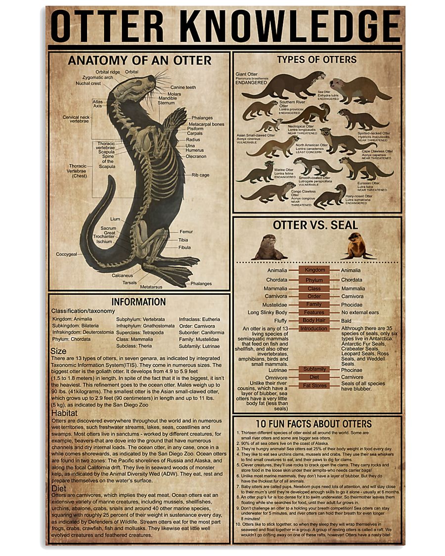 Otter Knowledge 11x17 Poster