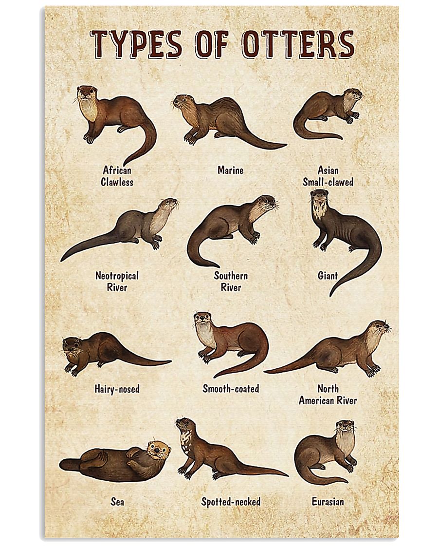 Otter Types 11x17 Poster