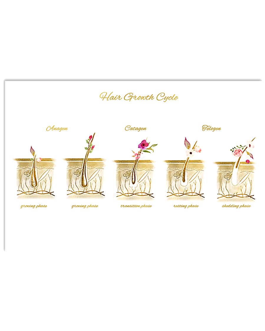 Hairstylist Hair Growth Cycle 17x11 Poster
