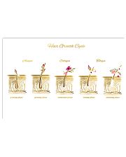 Hairstylist Hair Growth Cycle 17x11 Poster front