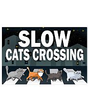 Veterinary Slow Cats Crossing 17x11 Poster front