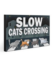 Veterinary Slow Cats Crossing 30x20 Gallery Wrapped Canvas Prints thumbnail