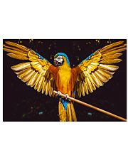 Beautiful Parrot 24x16 Poster front