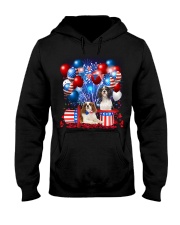 Cavalier King Charles Spaniel Independence Vr2 Hooded Sweatshirt thumbnail