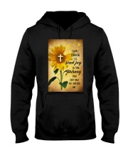 I Chose To Find Joy In The Journey Hooded Sweatshirt tile