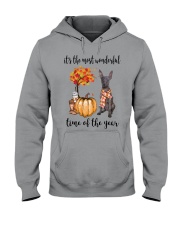 The Most Wonderful Time - Xolo Hooded Sweatshirt thumbnail