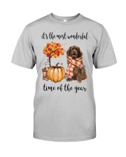 The Most Wonderful Time - Brown Newfoundland Classic T-Shirt front