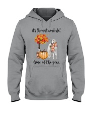 The Most Wonderful Time - Borzoi Hooded Sweatshirt thumbnail