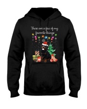A Few of My Favorite Things - Rottweiler Hooded Sweatshirt thumbnail