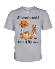 The Most Wonderful Time - Brittany V-Neck T-Shirt thumbnail