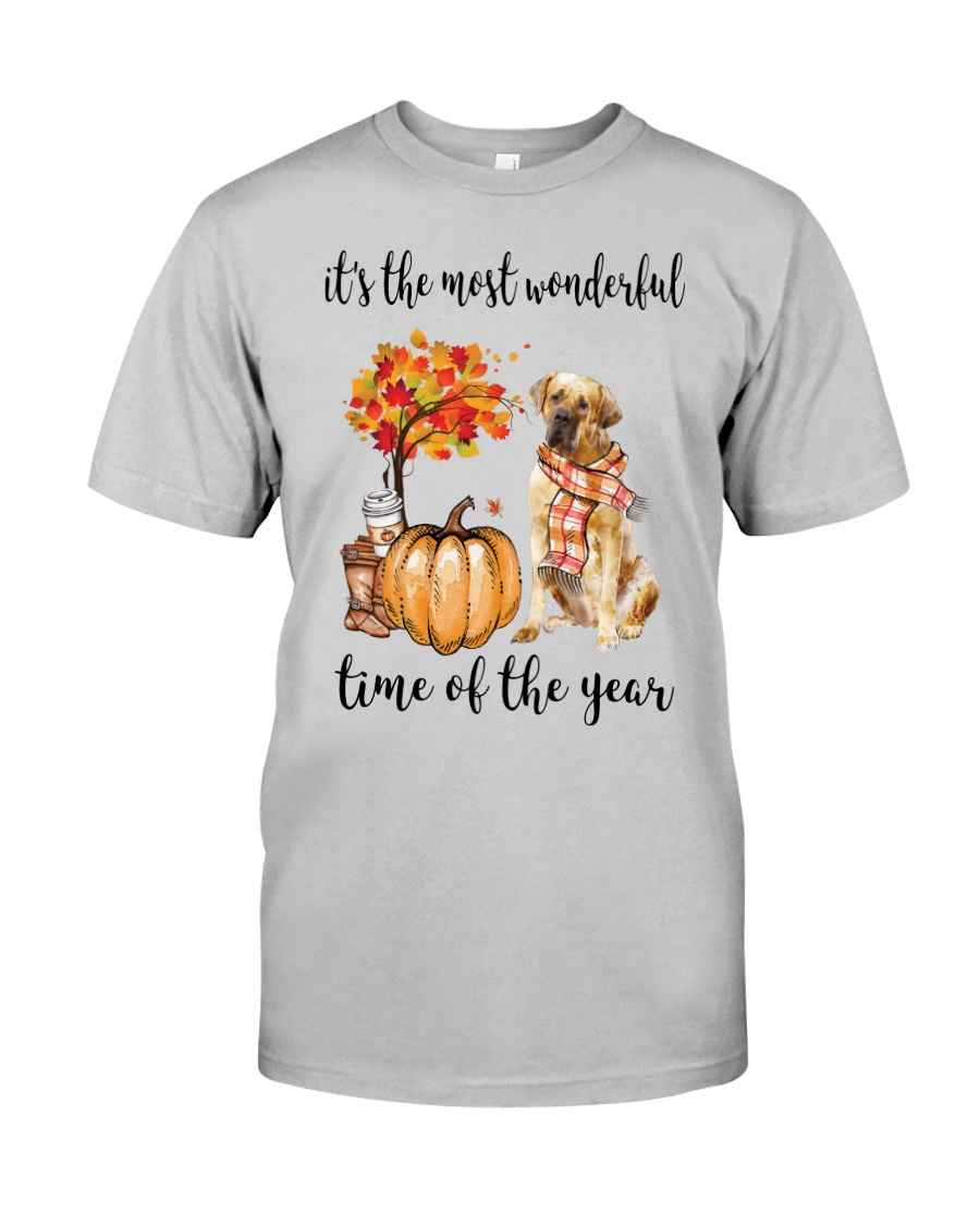 The Most Wonderful Time - Tosa Classic T-Shirt