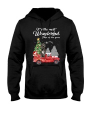 Wonderful Christmas with Truck - Great Dane Hooded Sweatshirt thumbnail