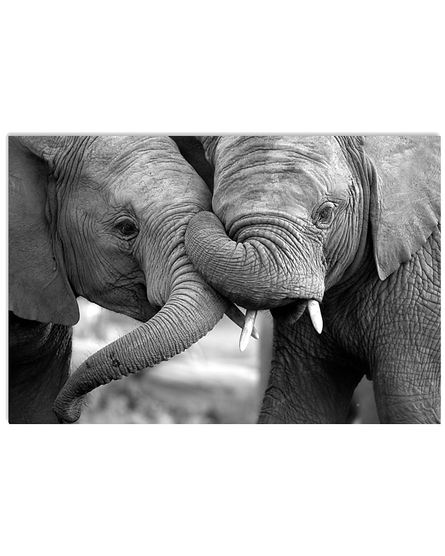 Elephant Mom And Son Poster - TL 17x11 Poster