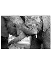 Elephant Mom And Son Poster - TL 17x11 Poster front