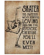 SKATER- EVER MEET POSTER 16x24 Poster front