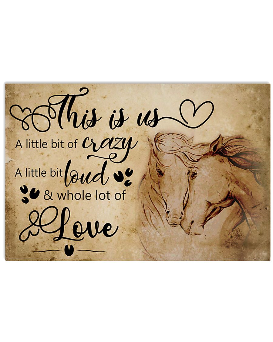 THIS IS US A LITTLE BIT OF CRAZY - HORSE POSTER 17x11 Poster