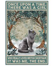 British Shorthair Once Upon A Time 11x17 Poster front